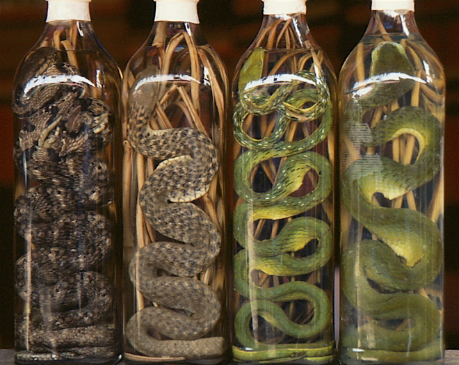 http://www.nosabesnada.com/uploads/2013/03/snake_wine.jpg